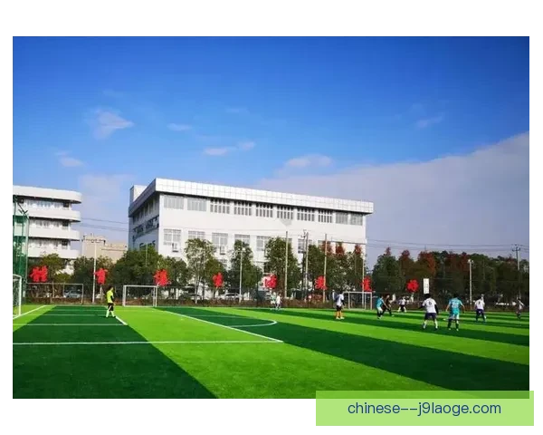安道尔足协宣布建设全新现代化国家体育训练中心助力足球发展新篇